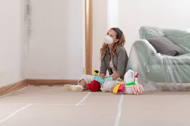 Reliable Basement Mold Remediation contractor in Winthrop, MN by 24 Hour Mold Removal
